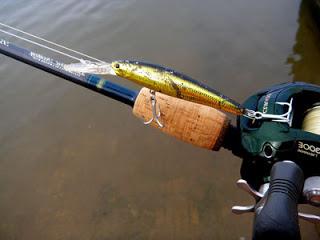 рыбалка троллингом на реке
