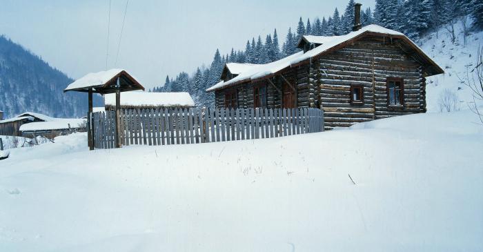 1 снег картина пластова