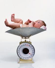 How much should a newborn gain weight