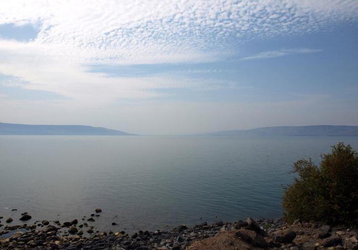 тивериадское озеро крупнейший источник пресной воды 