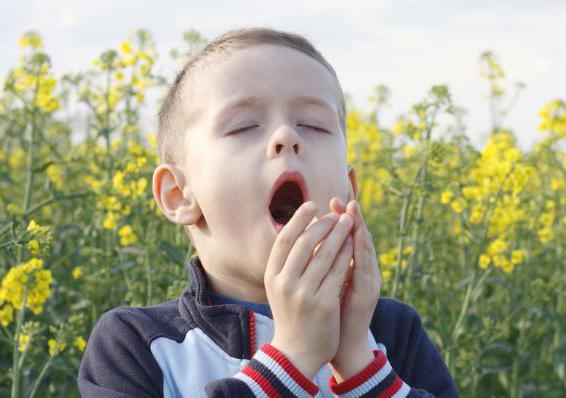 чем лечат аллергический кашель у ребенка признаки 