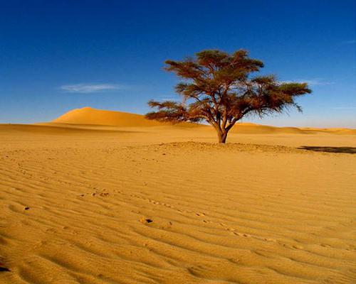 самая большая пустыня в мире 