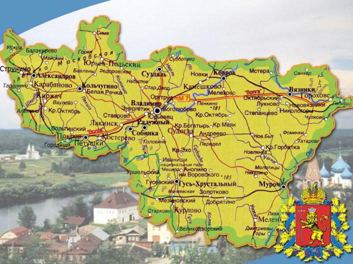 карта грибных мест владимирской области 