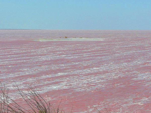 соленое розовое озеро в крыму 