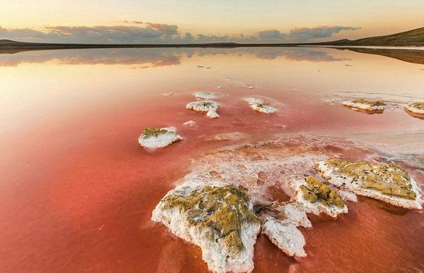 соленое озеро розового цвета в крыму 