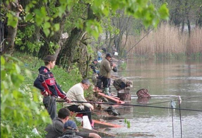  рыбалка в чардыме саратовской области 