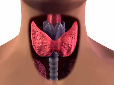 щитовидная железа гипотиреоз
