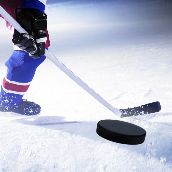 Что такое хоккей на льду