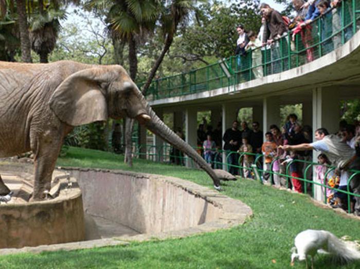 Barcelona Zoo