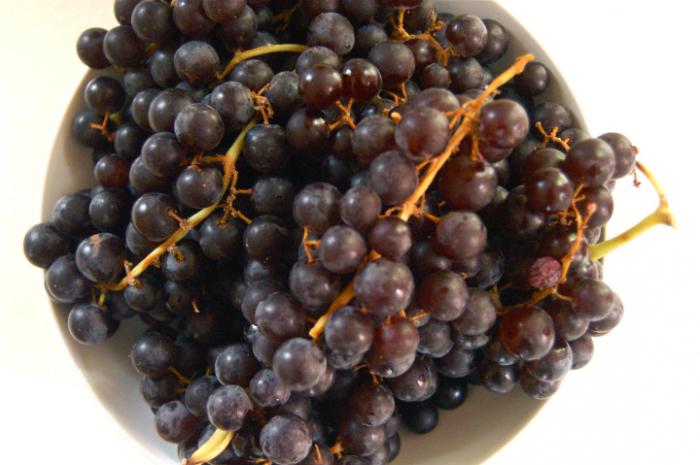 Вариации и секреты приготовления желе из винограда на зиму