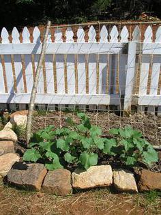 grid for cucumbers how to install