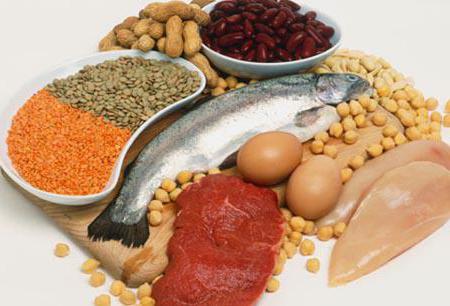 maternal protein food product list table
