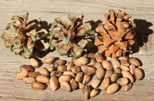 why pine nuts are good for women