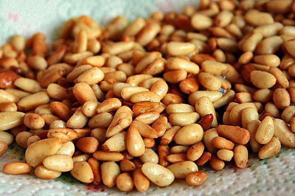 pine nuts useful properties and contraindications