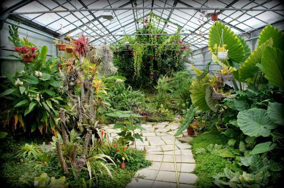 ботанический сад волгоград 