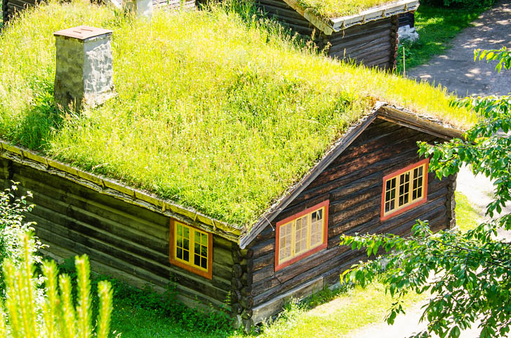 экстенсивное озеленение крыши