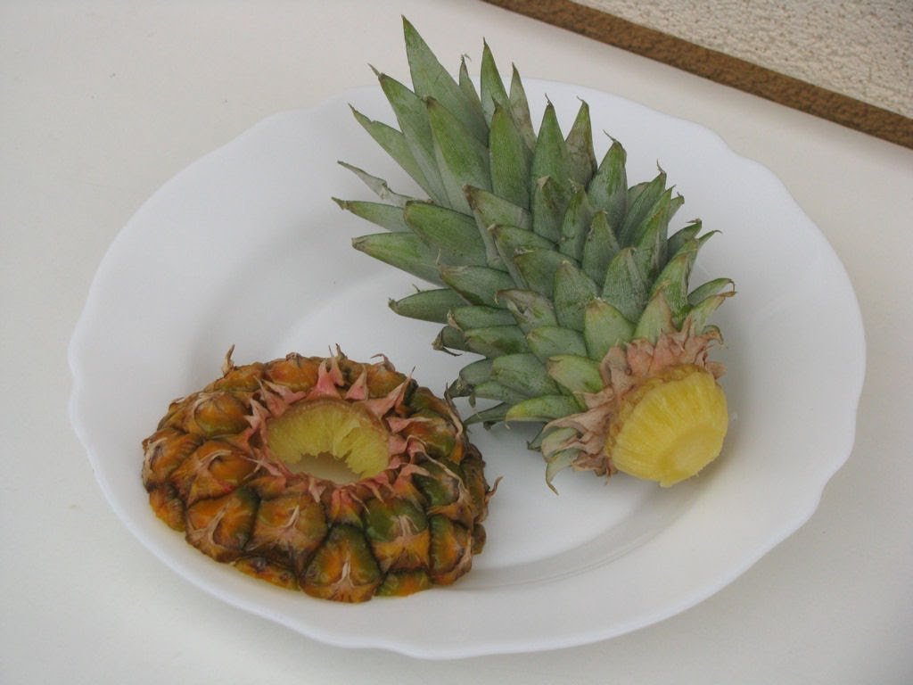 как посадить ананас в домашних условиях