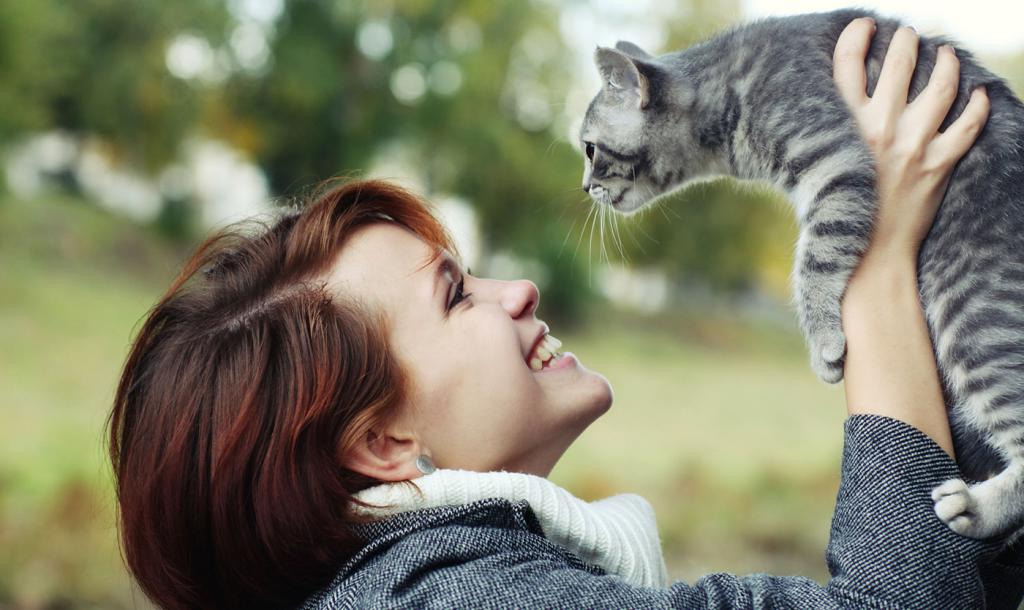 treatment of animals in the clinic