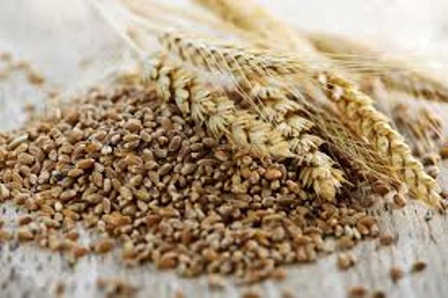 oat bran for constipation how to take