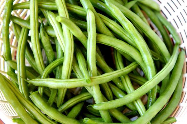 Boiled green beans, calorie content