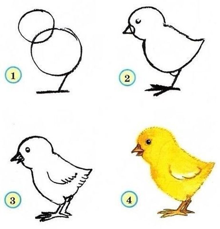 как нарисовать цыпленка