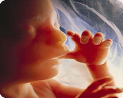 22 недели беременности малыш активно бьет внизу живота thumbnail