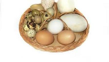 вареные яйца польза и вред для мужчин 