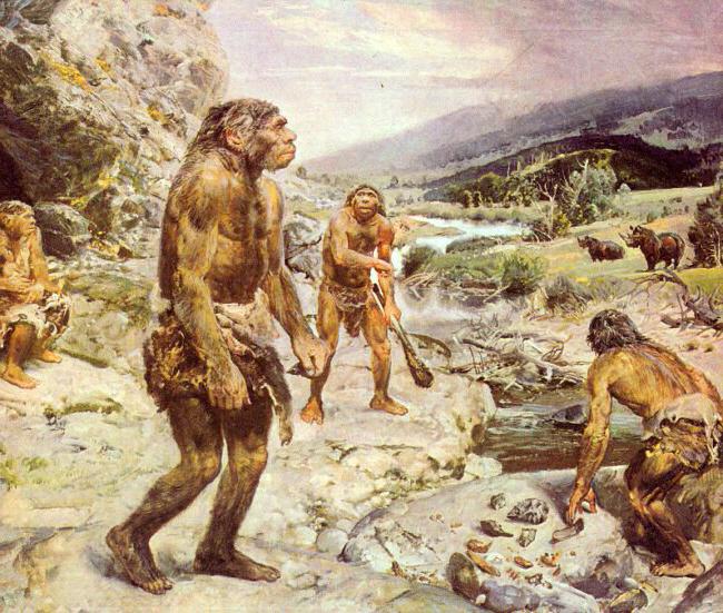 Neanderthal is