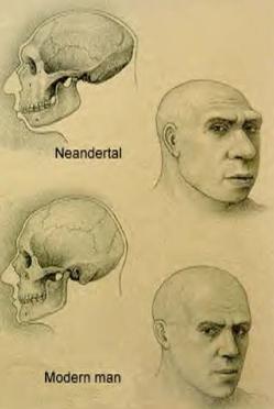 last neanderthal man