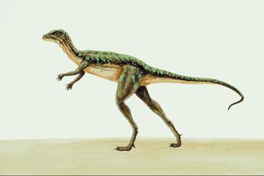 динозавры фото и описание
