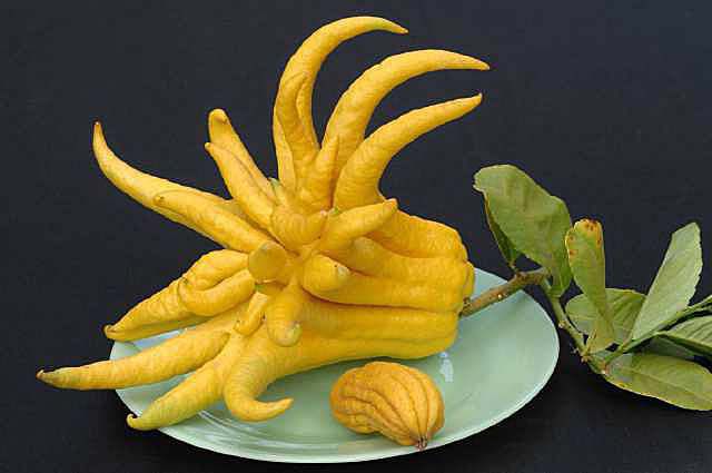 фрукт желтого цвета