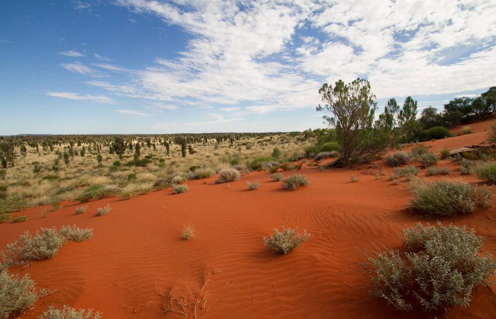 Австралия большая песчаная пустыня