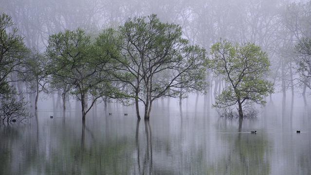 spring flood