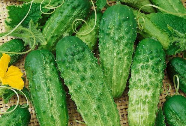 phoenix cucumber reviews