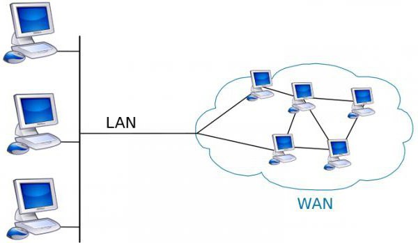 Поясните почему сети wan появились раньше чем сети lan