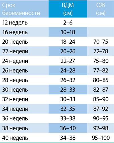 норма окружности живота при беременности