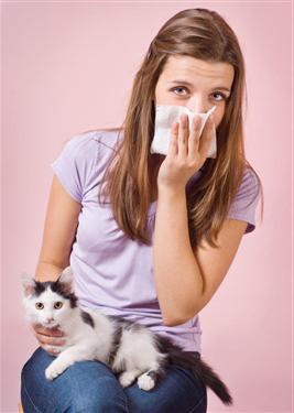 аллергия на корм у кошек 