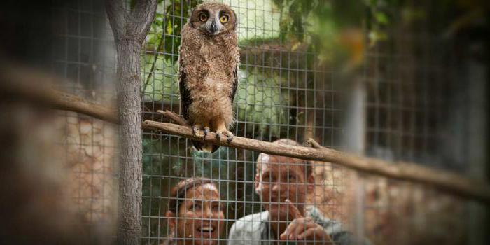 Krasnaya Polyana aviary complex how to get