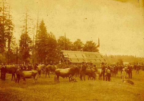 first agricultural exhibition in Russia