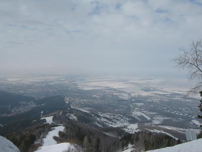 как лучше добраться до белокурихи из москвы 