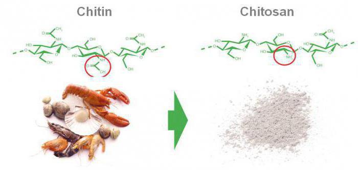  хитозан инструкция по применению 