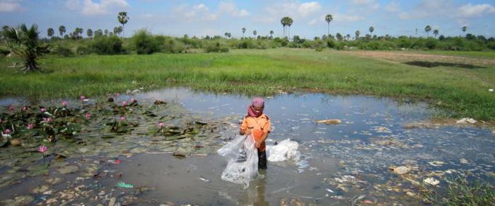 oceans pollution problem briefly