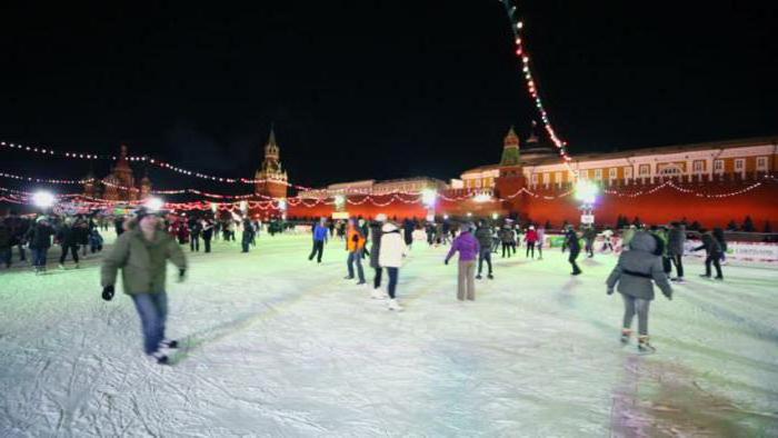 ледовый дворец катание на коньках 