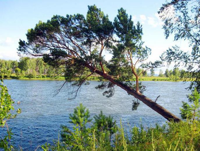 реки Иркутской области список