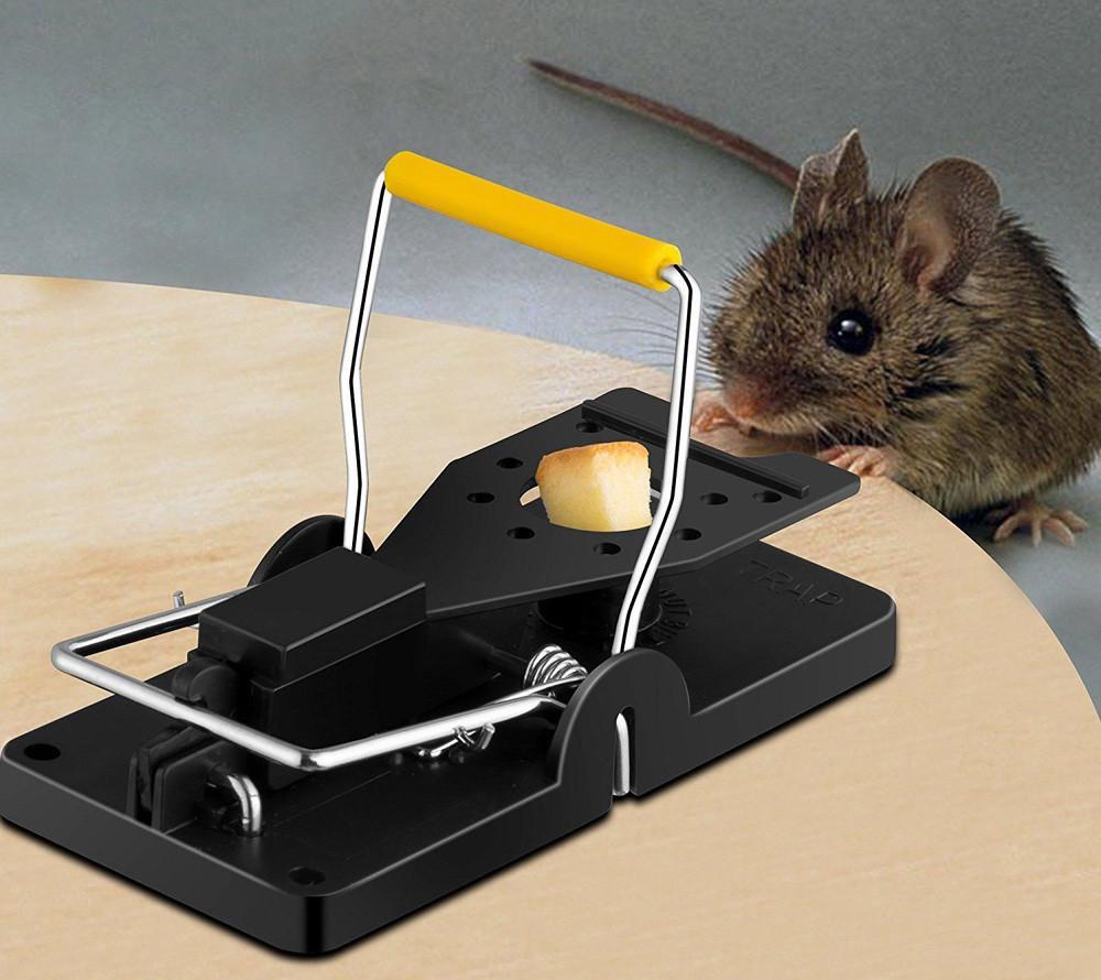 ловушка для крысы