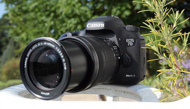 Canon 7D Mark II отзывы