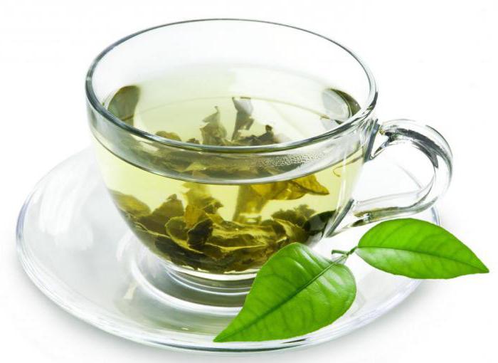 green tea without sugar