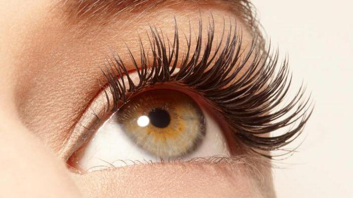 coconut eyelash growth oil reviews