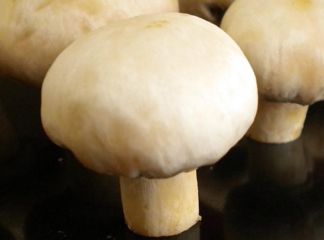 как почистить белый гриб
