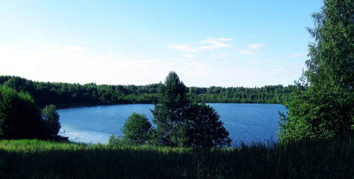 Озеро светлояр нижегородская область фото